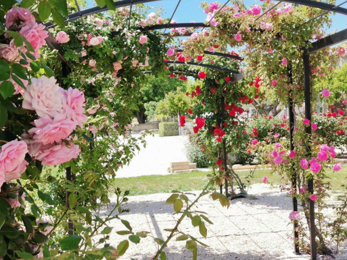 Gite En Provence "Rose" Modene Esterno foto
