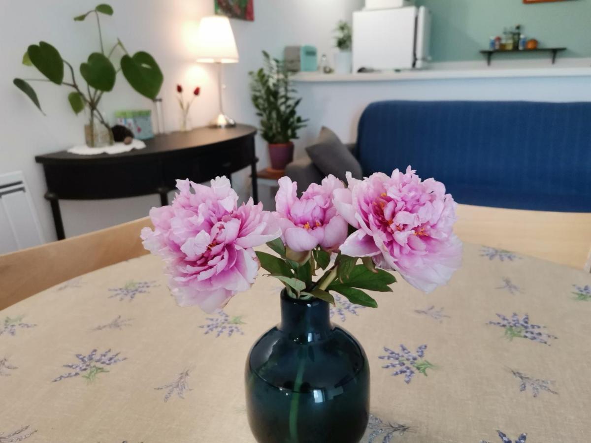 Gite En Provence "Rose" Modene Esterno foto