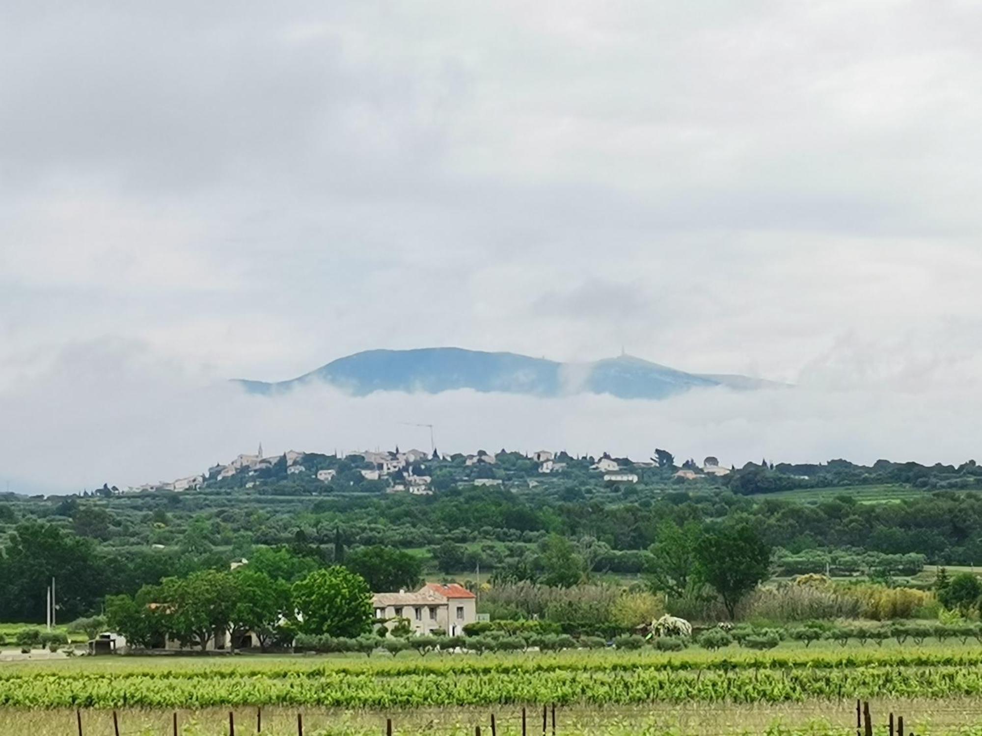 Gite En Provence "Rose" Modene Esterno foto
