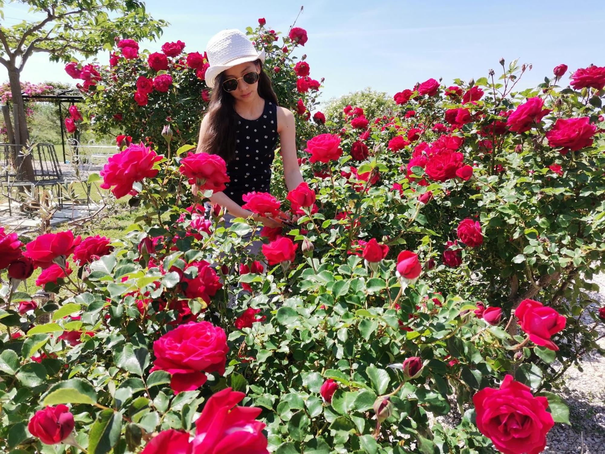 Gite En Provence "Rose" Modene Esterno foto