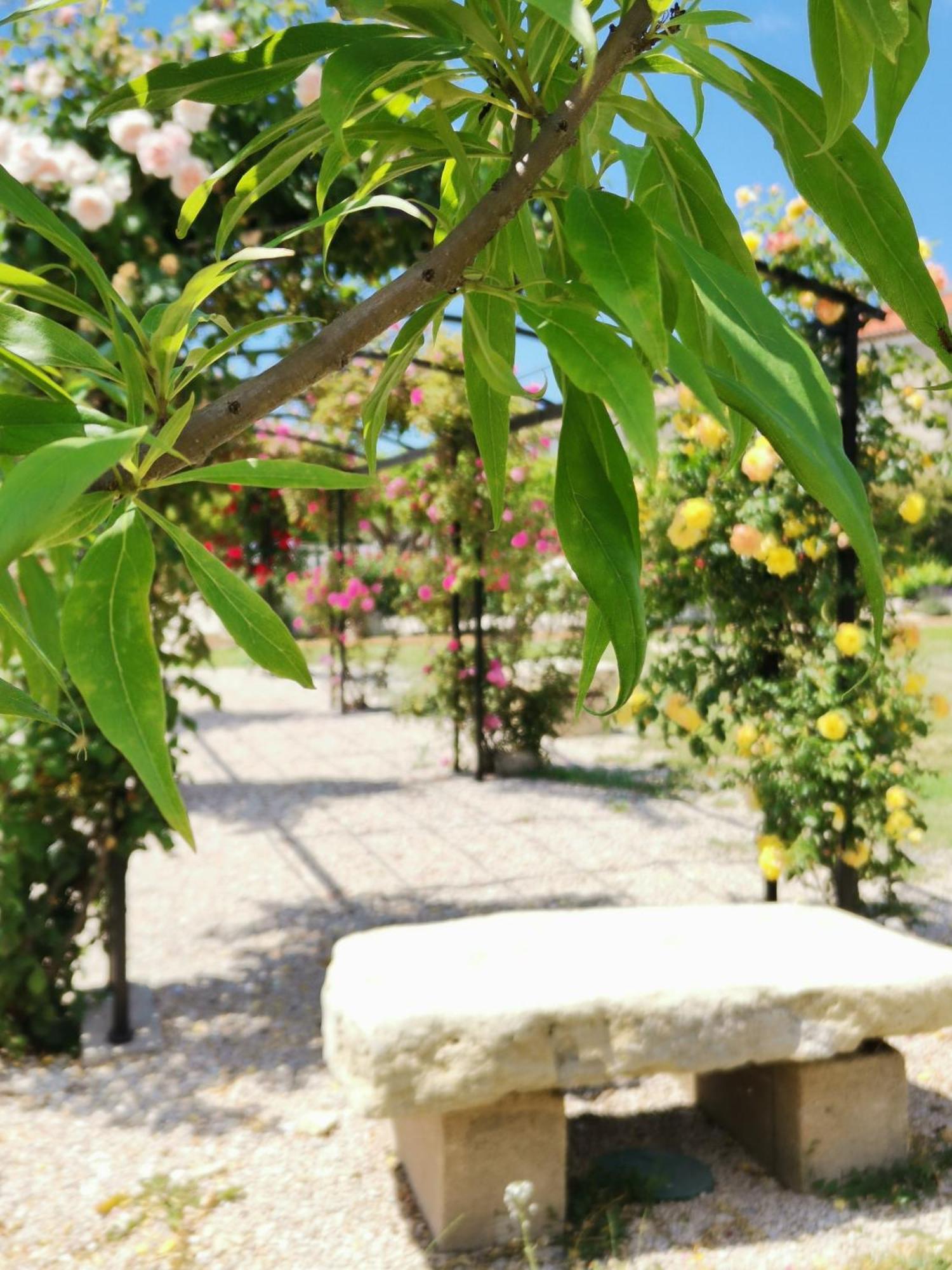 Gite En Provence "Rose" Modene Esterno foto